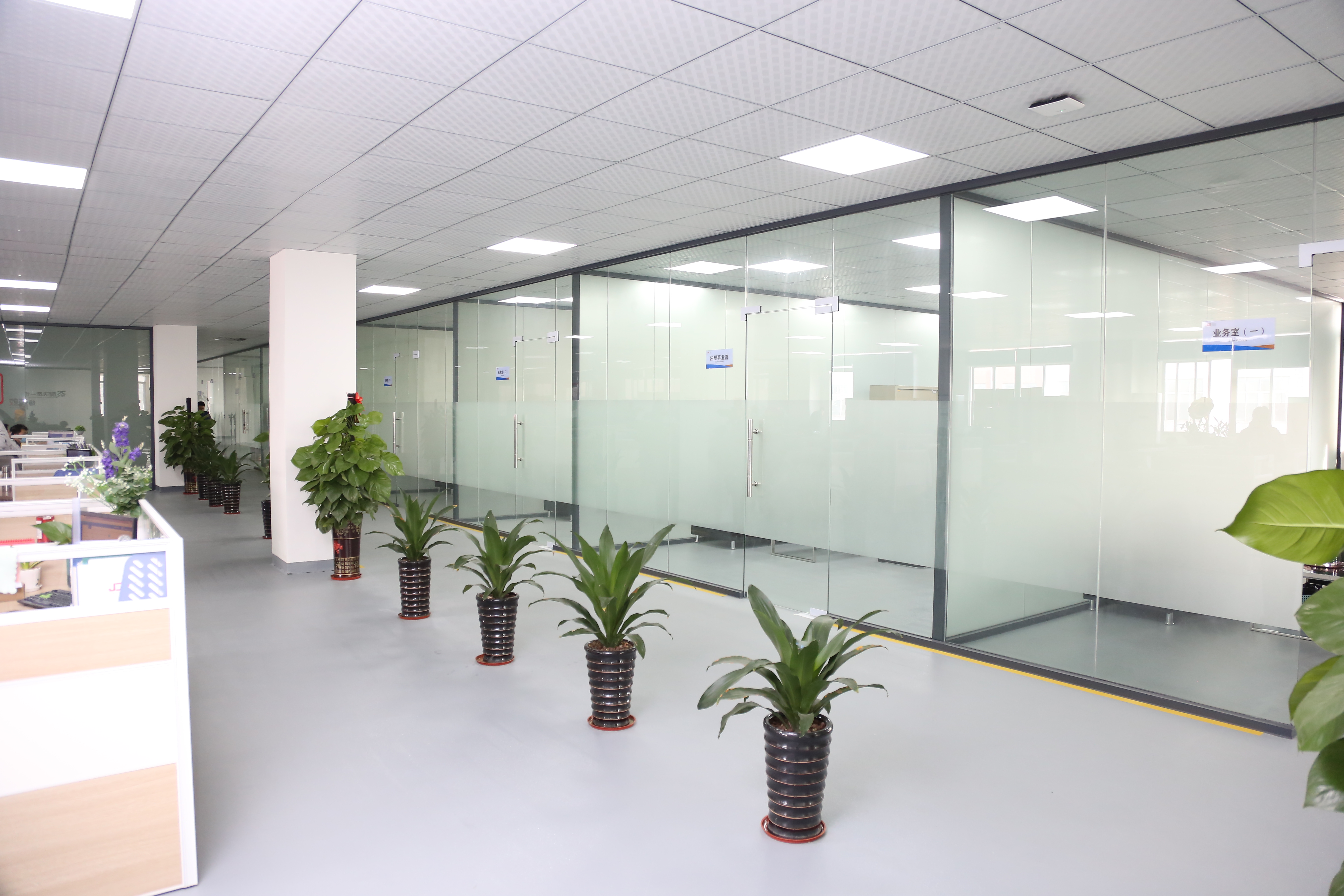 實力展示